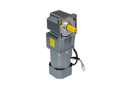 微型定速電機(jī) 微型定速電機(jī)